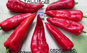 YACLIK-28