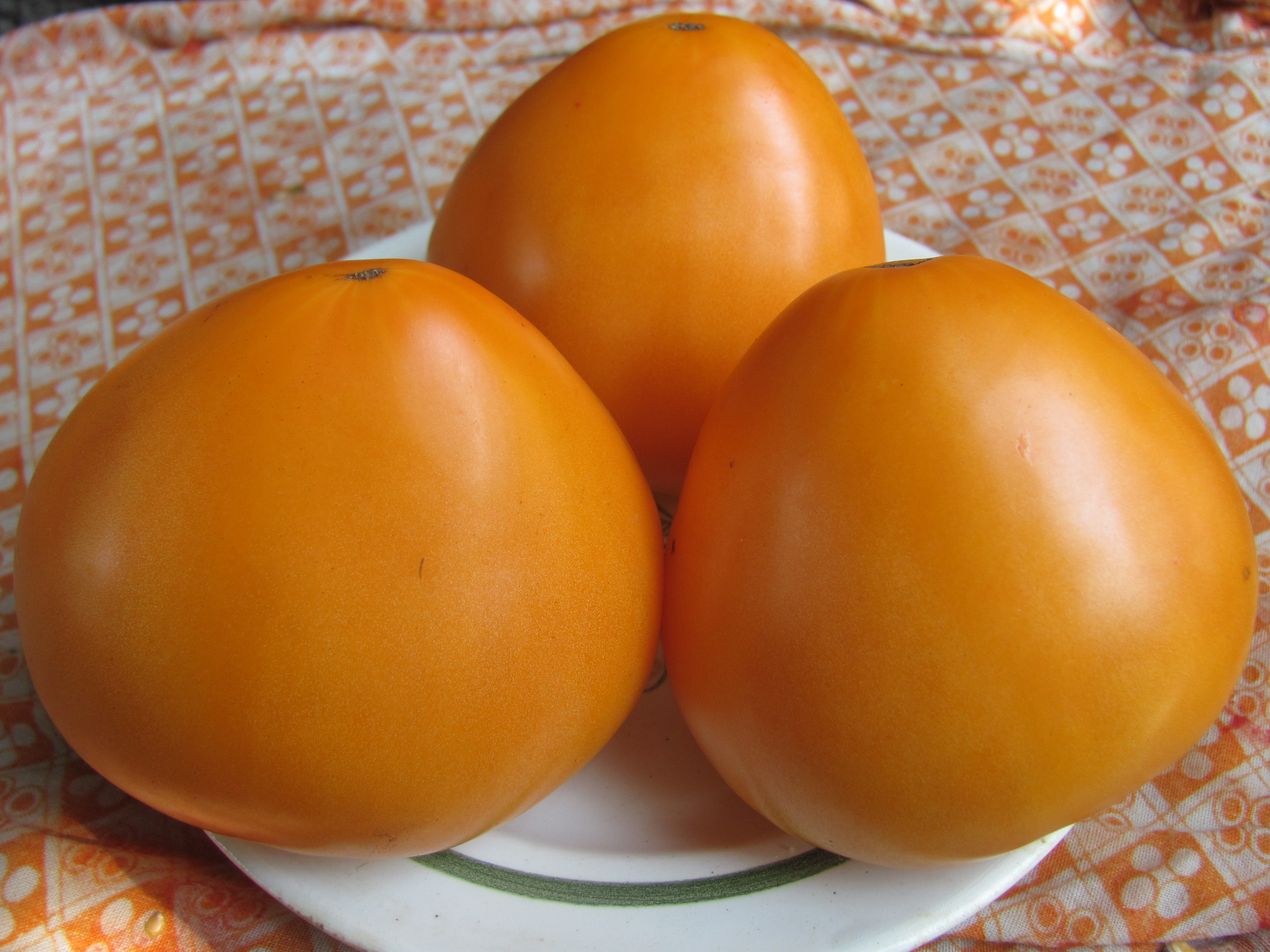 Сорт томатов золотые купола отзывы. Семена томат золотые купола. Томат Бычье сердце золотое. Золотые купола оранжев томат. Томат Бычье сердце оранжевое.