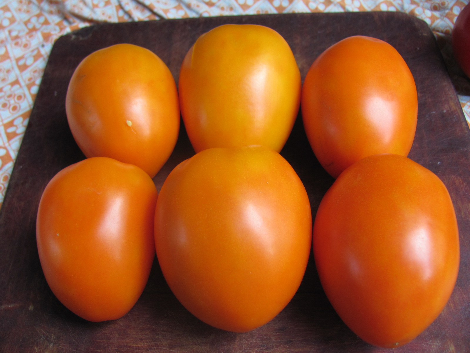 томаты ослиные уши фото